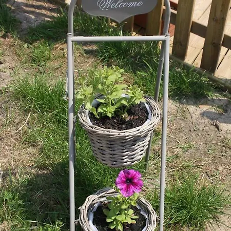 Les Roulottes Des Songes De L'authie *